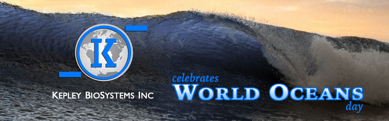 World Oceans Day