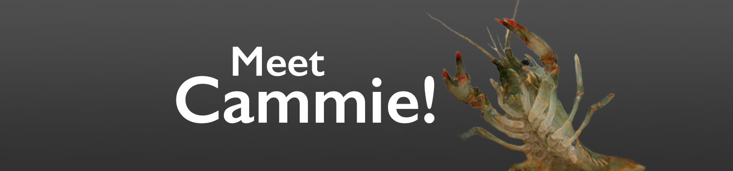 Click here to Meet Cammie